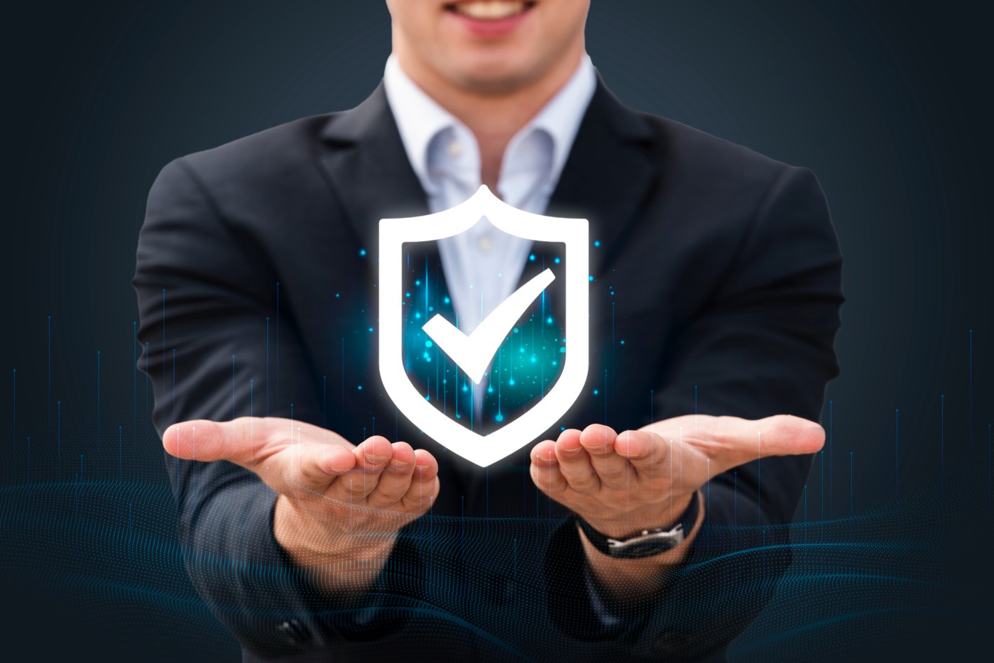 Consent, Privacy and Security of Your KIN and CKYC Record